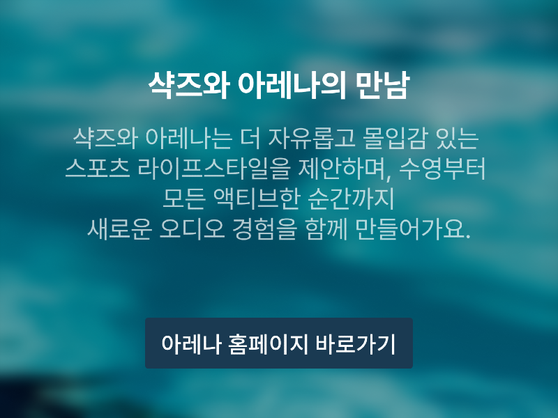 아레나 홈페이지 바로가기